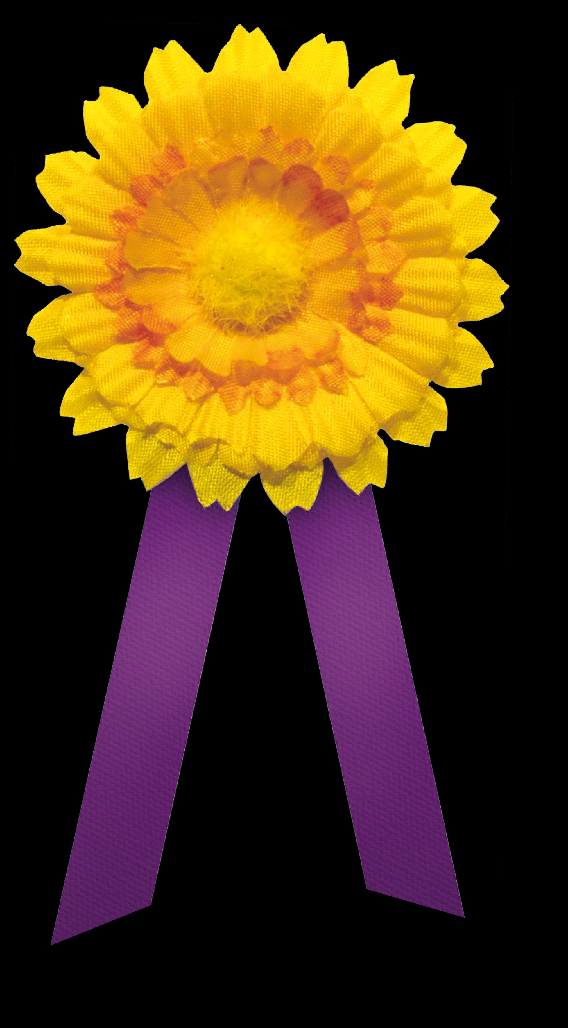 sdlogo